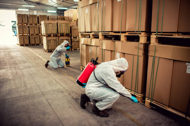 Reliable East Glenville, NY Pest Control Solutions