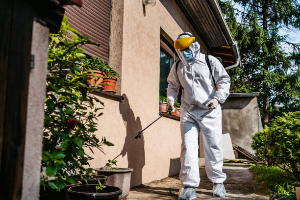 Best Rat Extermination Near Me  in East Glenville, NY