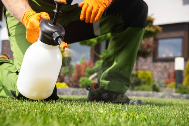 Best Mosquito Control Services  in East Glenville, NY