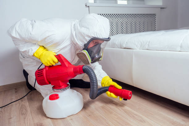 Best Pest Control for Homes  in East Glenville, NY