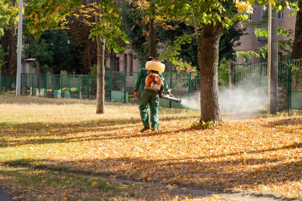 Best Commercial Pest Control Services  in East Glenville, NY