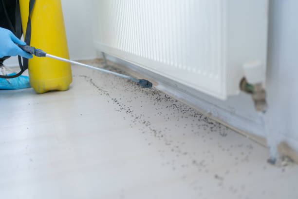Best Cockroach Control Services  in East Glenville, NY